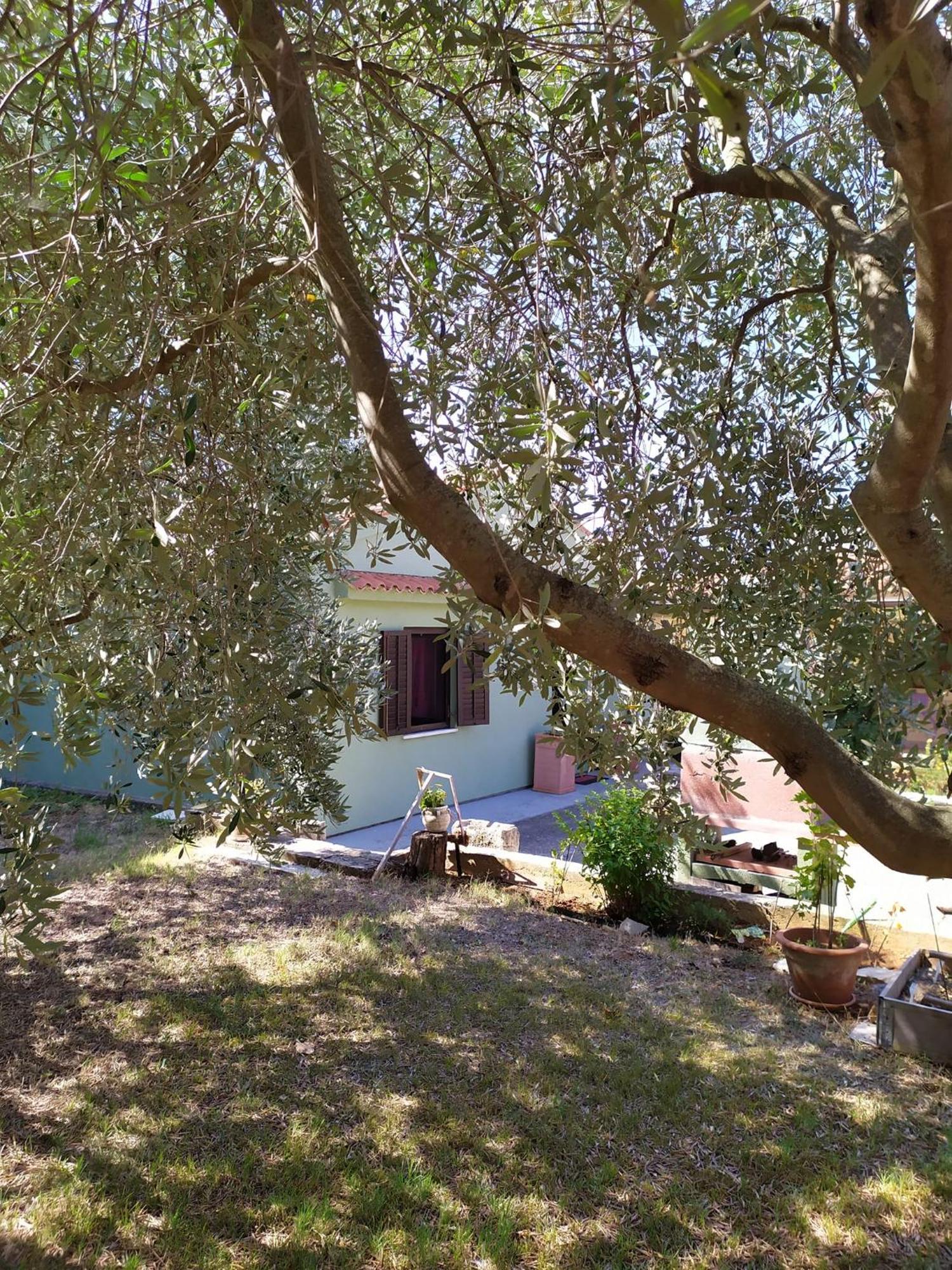 Apartmani Tara מדולין מראה חיצוני תמונה