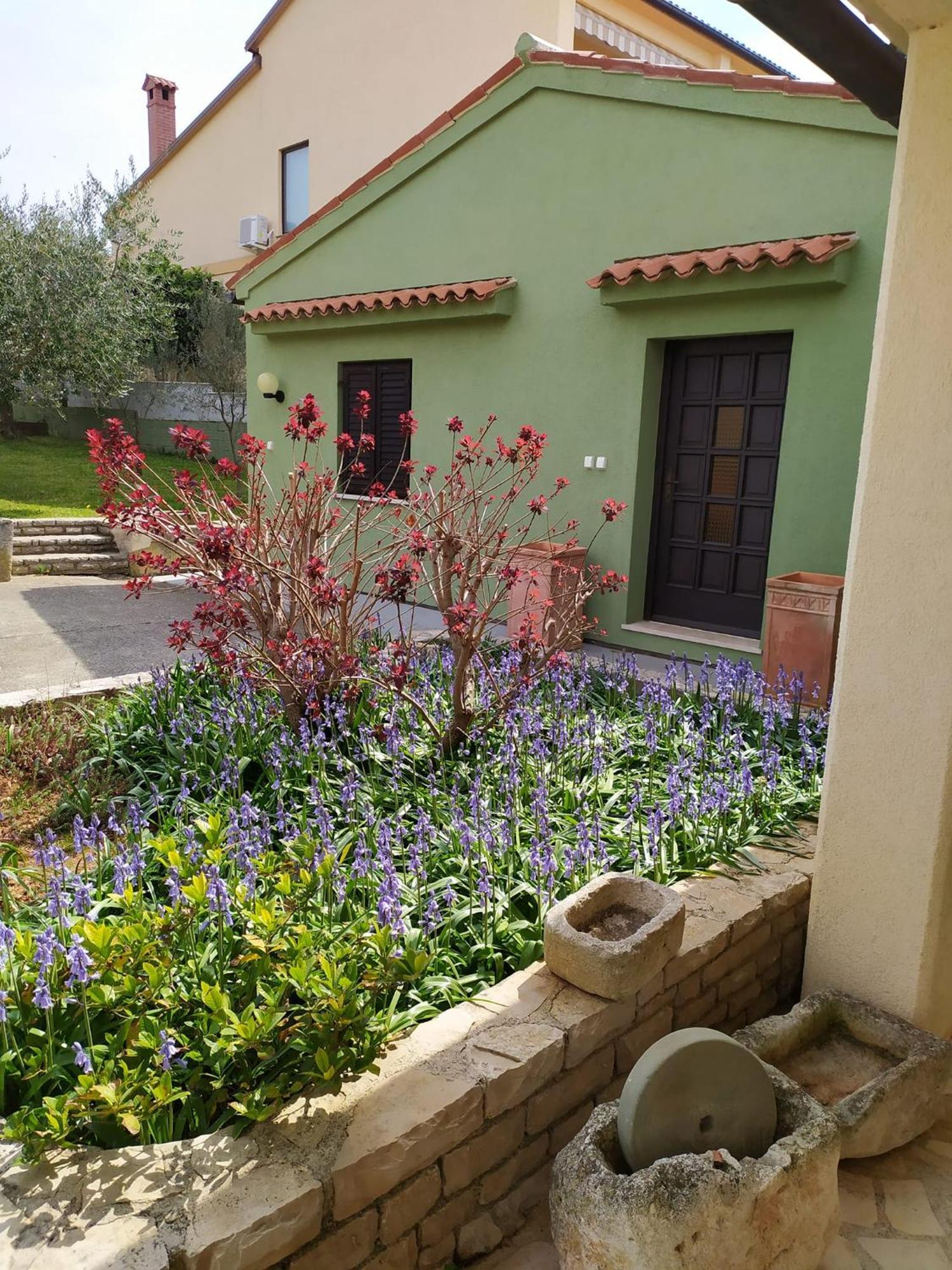 Apartmani Tara מדולין מראה חיצוני תמונה